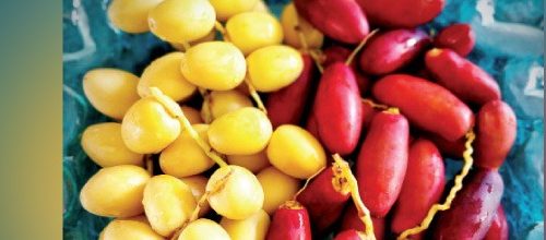 FRESH DATES!! (மருத்துவம்)