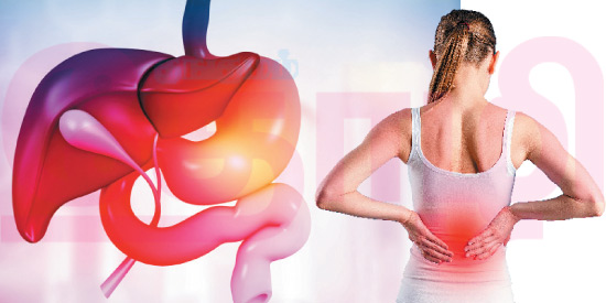 பித்தப்பை கற்களும் ஆயுர்வேத சிகிச்சை முறைகளும்! (மருத்துவம்)