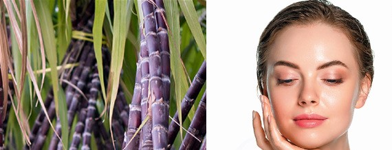 சருமத்தை பளபளப்பாக்கும் கரும்பு! (மருத்துவம்)