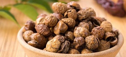 இருமலுக்கு மருந்தாகும் சுண்டை வற்றல்!! (மருத்துவம்)