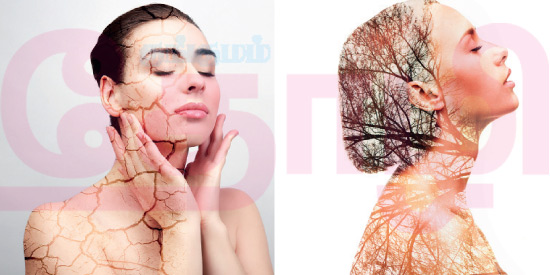 வறண்ட சருமத்தை வெல்வோம்!(மருத்துவம்)