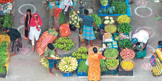 தோழி சாய்ஸ்!! (மகளிர் பக்கம்)