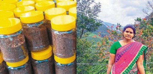 மணம் கமழும் மூலிகை சாம்பிராணி!(மகளிர் பக்கம்)