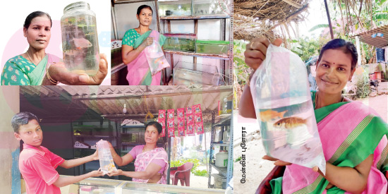 பாடம் சொல்லிக் கொடுக்கும் வண்ண வண்ண மீன்கள்! (மகளிர் பக்கம்)