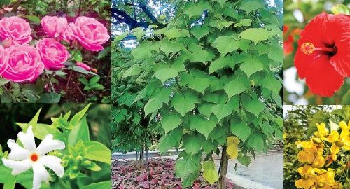 கொஞ்சம் தின்றால்தான் என்ன?!(மருத்துவம்)