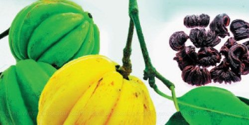 குடம்புளி பற்றி தெரியுமா?!(மருத்துவம்)