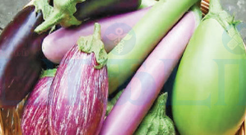 கத்தரிக்காயை சாதாரணமா நினைக்காதீங்க…!! (மருத்துவம்)