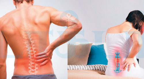 முதுகுவலிக்கு அஞ்சேல்!(மருத்துவம்)