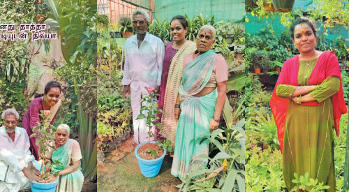 என் தொழிலுக்கு பாட்டியும் தாத்தாவும் சப்போர்ட்!(மகளிர் பக்கம்)