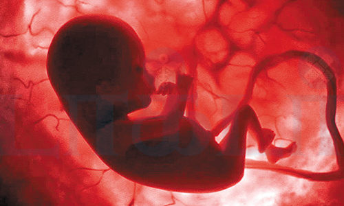 ஆண் குழந்தை ரகசியம்!!(மருத்துவம்)