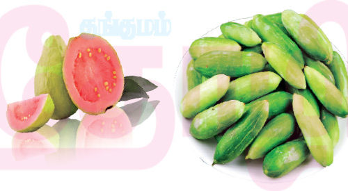 குளிரும் கொய்யாப்பழமும்!! (மருத்துவம்)