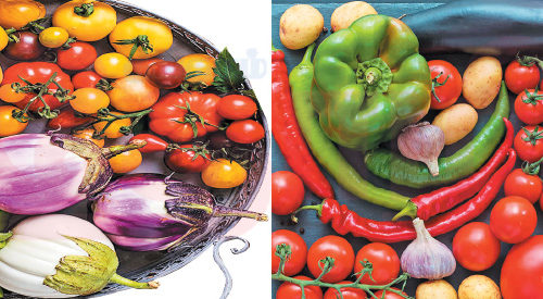 நிழல் காய்கறிகள்!!(மகளிர் பக்கம்)