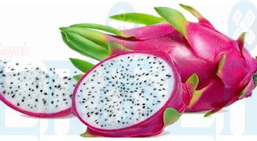 டிராகன் பழம்!(மருத்துவம்)