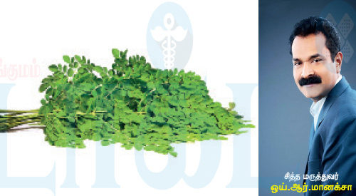 முதுமையை இளமையாக்கும் முருங்கைக்கீரை!!  (மருத்துவம்)