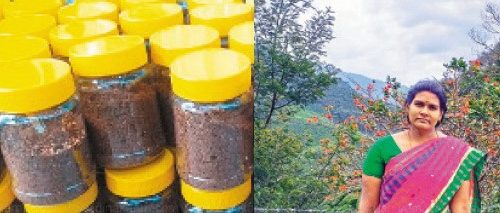 மணம் கமழும் மூலிகை சாம்பிராணி!(மகளிர் பக்கம்)