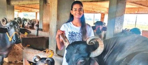 எருமைப் பண்ணை தொழிலில்… மாதம் 6 லட்சம் ஈட்டும் இளம்பெண்! (மகளிர் பக்கம்)