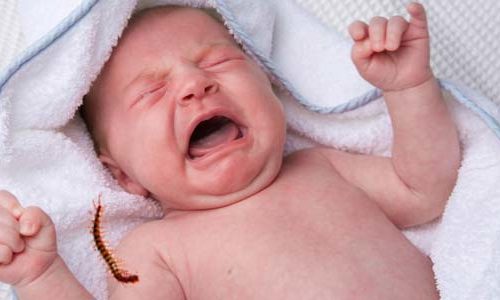 உங்க குழந்தையை பூரான் கடிச்சிடுச்சா!! (மருத்துவம்)