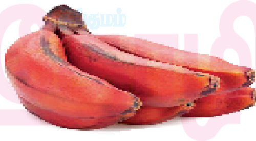 செவ்வாழையின் சிறப்பு!! (மருத்துவம்)