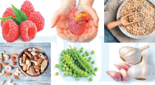 இதயத்தைப் பாதுகாக்கும் 5 உணவுகள்!! (மருத்துவம்)